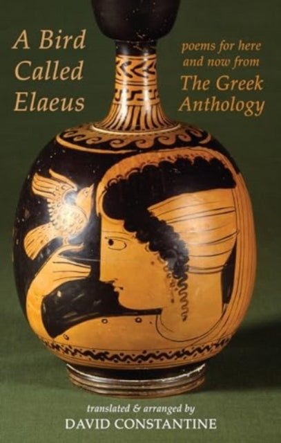 A Bird Called Elaeus : poems for here and now from The Greek Anthology-9781780377223