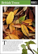British Trees : The Instant Guide-9781780500089