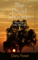 Shaman Pathways - the Druid Shaman : Exploring the Celtic Otherworld-9781780996158