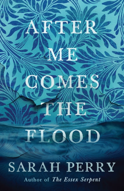 After Me Comes the Flood : From the author of The Essex Serpent-9781781259559