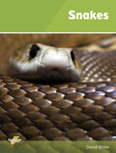 Snakes : Set 1-9781781270585