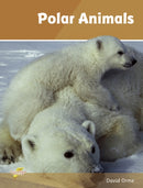 Polar Animals : Set 4-9781781270806