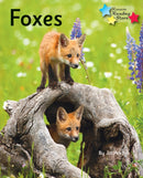Foxes : Phonics Phase 5-9781781277843