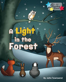 A Light in the Forest-9781781278529