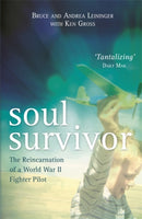 Soul Survivor : The Reincarnation of a World War II Fighter Pilot-9781781808061