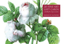 Redoute Flowers