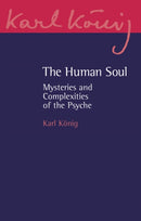 The Human Soul : Mysteries and Complexities of the Psyche-9781782509653
