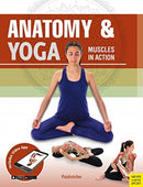 Anatomy & Yoga : Muscles in Action-9781782551522