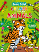 Junior Artist Colour By Numbers: Animals-9781782704348