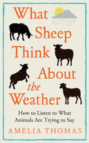 What Sheep Think About the Weather