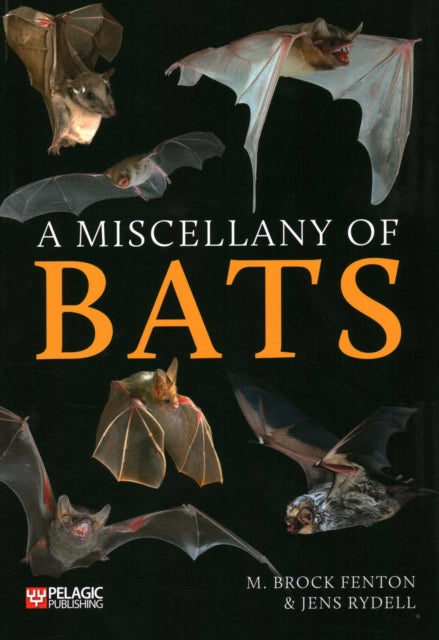 A Miscellany of Bats-9781784272944