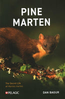 Pine Marten : The Secret Life of Martes martes-9781784274276