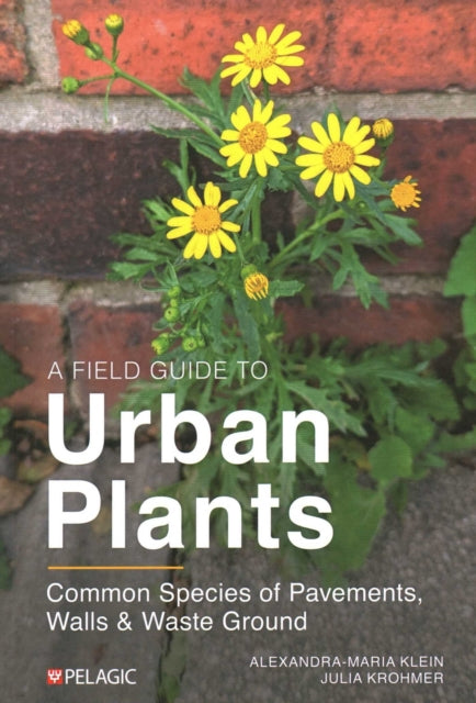 A Field Guide to Urban Plants : Common Species of Pavements, Walls and Waste Ground-9781784274740