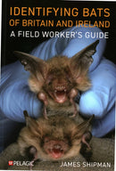 Identifying Bats of Britain and Ireland : A Field Worker's Guide-9781784274924