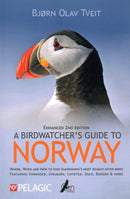 A Birdwatcher's Guide to Norway : Where, when and how to find Scandinavia's most sought-after birds-9781784275082