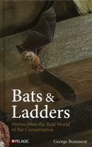 Bats & Ladders