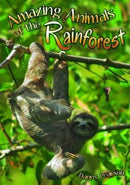 Amazing Animals of the Rainforest-9781784640026