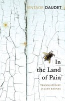 In the Land of Pain-9781784873455