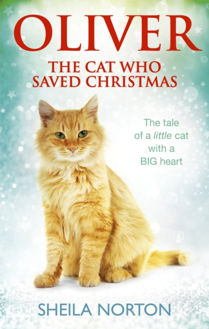 Oliver The Cat Who Saved Christmas-9781785033551