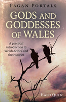 Pagan Portals - Gods and Goddesses of Wales : A practical introduction to Welsh deities and their stories-9781785356216