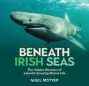 Beneath Irish Seas : The Hidden Wonders of Ireland's Amazing Marine Life-9781785375705