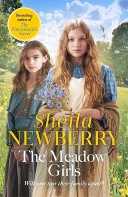 The Meadow Girls : A heartwarming World War I saga-9781785761904