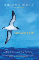 Shearwater