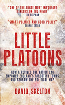 Little Platoons : How a revived One Nation can empower England's forgotten towns and redraw the political map-9781785905124