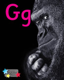 Alpha Stars Gg-9781785911552