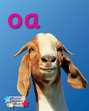 Alpha Stars oa-9781785912139