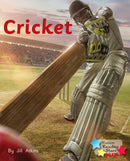 Cricket-9781785914997