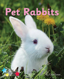 Pet Rabbits : Phonics Phase 3-9781785919077