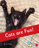 Cats are Fun! : Phonics Phase 4-9781785919992