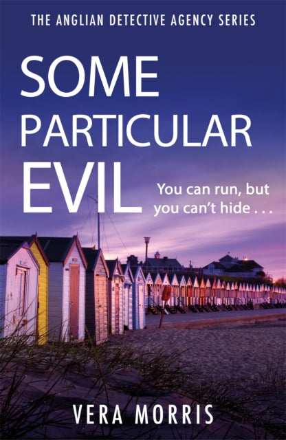 Some Particular Evil : The Anglian Detective Agency Series-9781786150615
