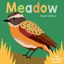 Now you See It! Meadow-9781786285874
