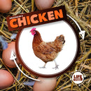 Life Cycle of a Chicken-9781786372833