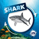 Life Cycle of a Shark-9781786372857