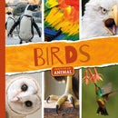 Birds-9781786374318