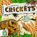 Crickets-9781786377234