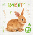 Rabbit-9781786377319