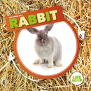 Rabbit-9781786379382