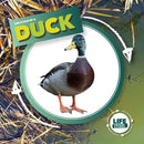 Duck-9781786379399