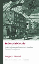 Industrial Gothic : Workers, Exploitation and Urbanization in Transatlantic Nineteenth-Century Literature-9781786837707