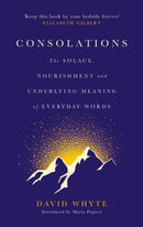 Consolations : The Solace, Nourishment and Underlying Meaning of Everyday Words-9781786897633