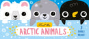 Meet the Arctic Animals