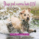 Dogs Just Wanna Have Fun! : Picture This: Dogs at Play-9781787112018