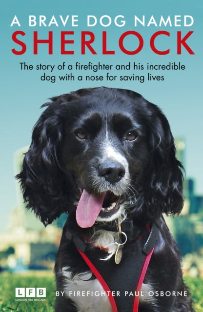 A Brave Dog Named Sherlock-9781787460836