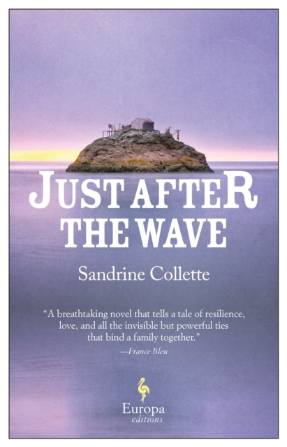 Just After the Wave-9781787702127