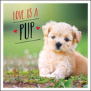 Love is a Pup : A Dog-Tastic Celebration of the World's Cutest Puppies-9781787832619