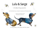 Lulu & Sarge in the Bee Sting Operation-9781787960077